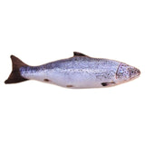Cat Favor Fish Toy